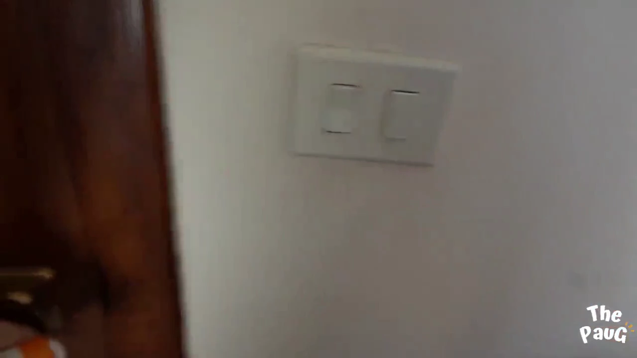 My stepsister's large derriere is driving me crazy porn video