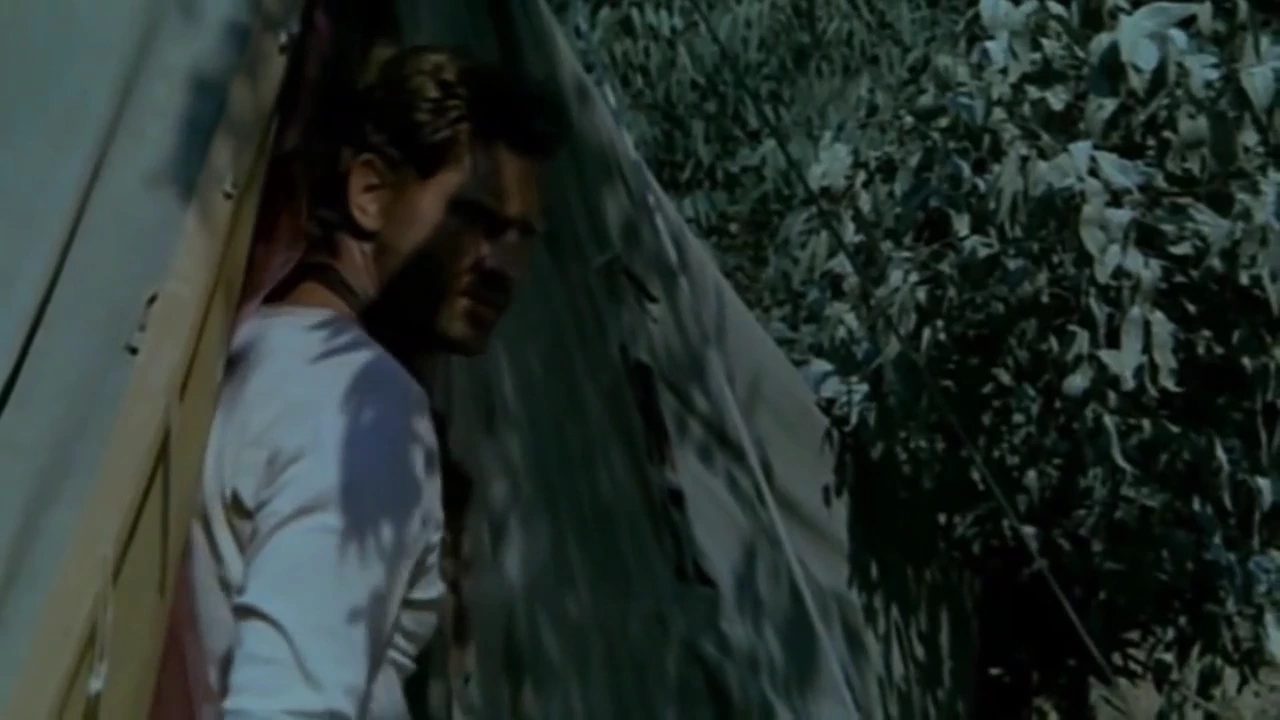 A cheating wife engages in passionate sex with a black man, all while her unsuspecting husband watches from the nearby bushes. porn video